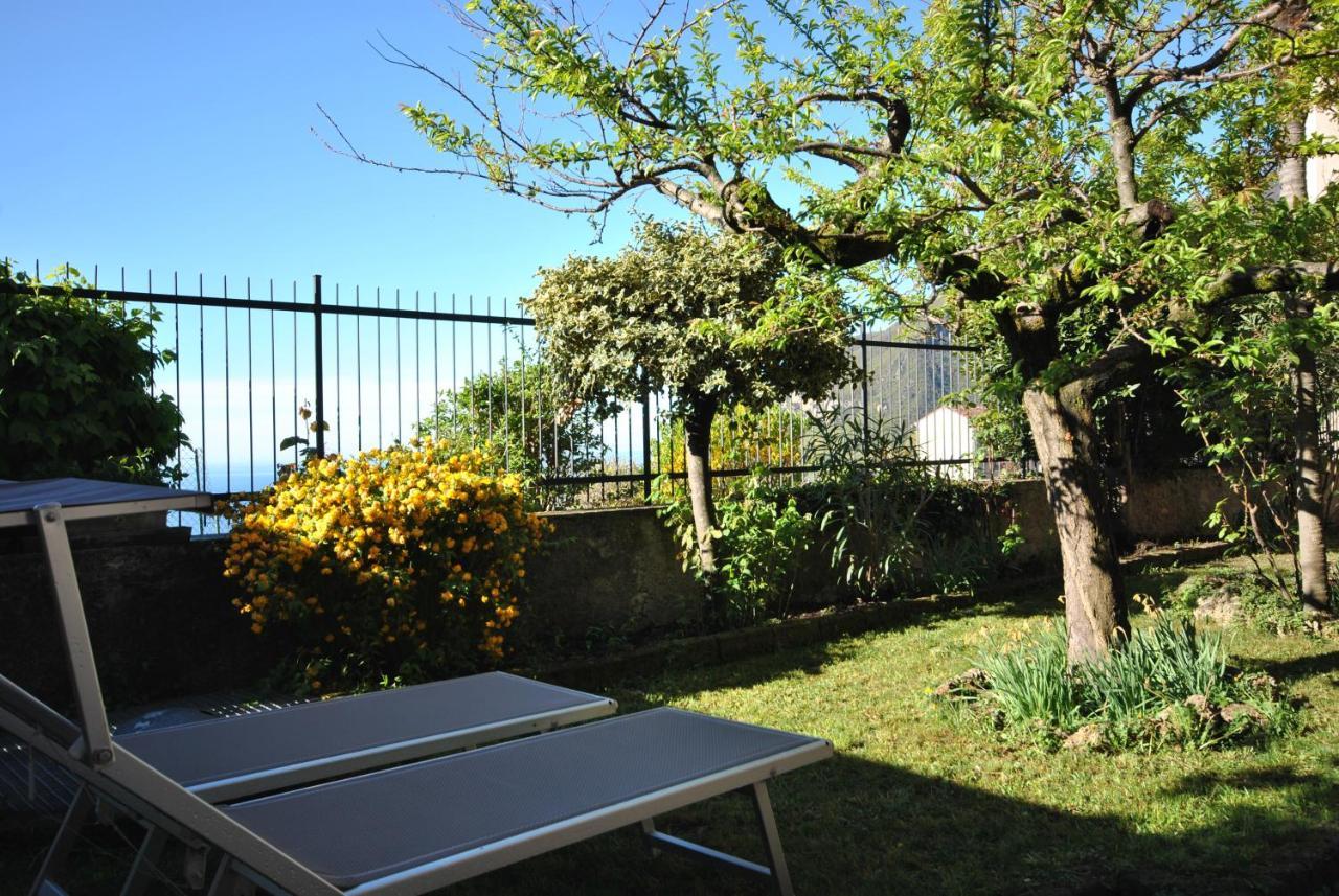 Gallo Hotel 3*